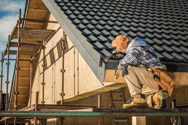 Best Asphalt Shingle Roofing  in Belcourt, ND