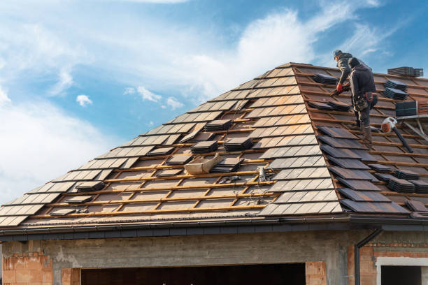 Best Roofing for New Construction  in Belcourt, ND