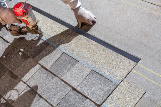 Best Roof Coating and Sealing  in Belcourt, ND